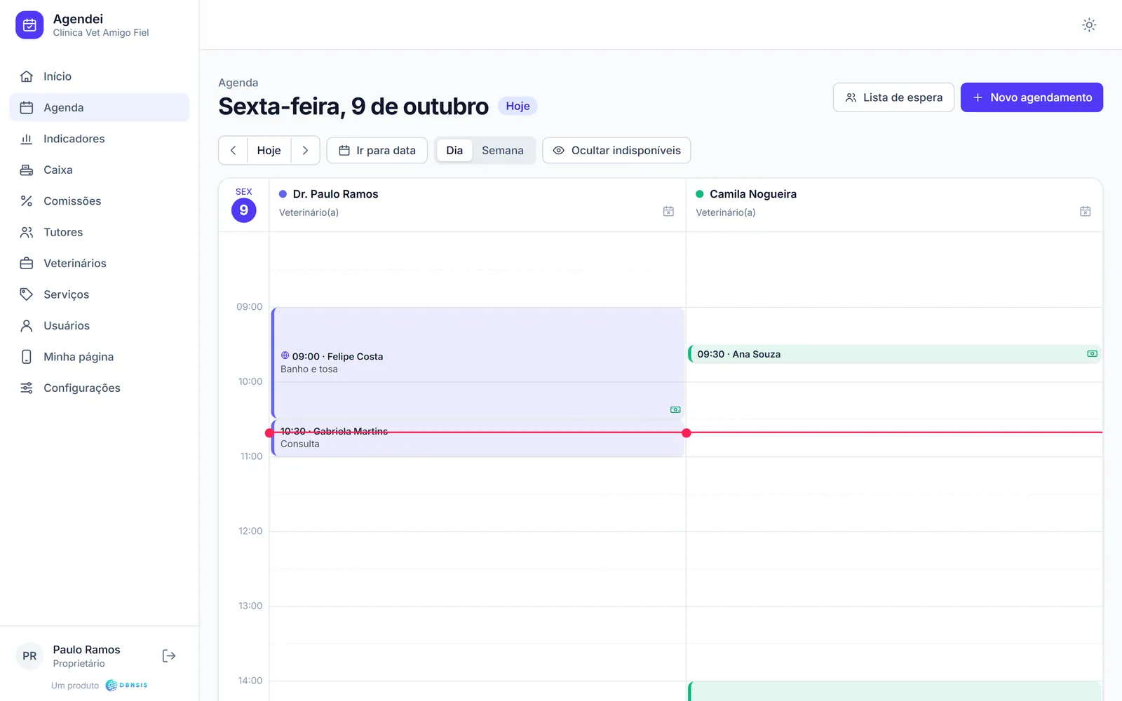 Agenda da clínica veterinária no computador, com uma coluna por profissional e os atendimentos do dia.